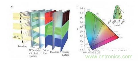  LCD顯示器示意圖。TFT表示薄膜晶體管（thin-film transistor）。