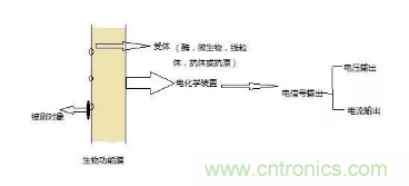 仿生傳感器的定義、原理、分類(lèi)及應(yīng)用