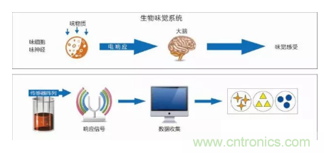 仿生傳感器的定義、原理、分類(lèi)及應(yīng)用