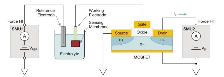 FET 生物傳感器的直流I-V 特性研究